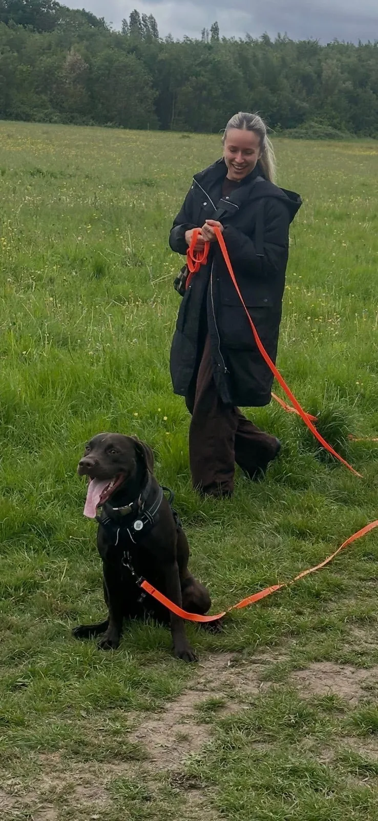 Happy hound cared for by Ella’s Hound Club