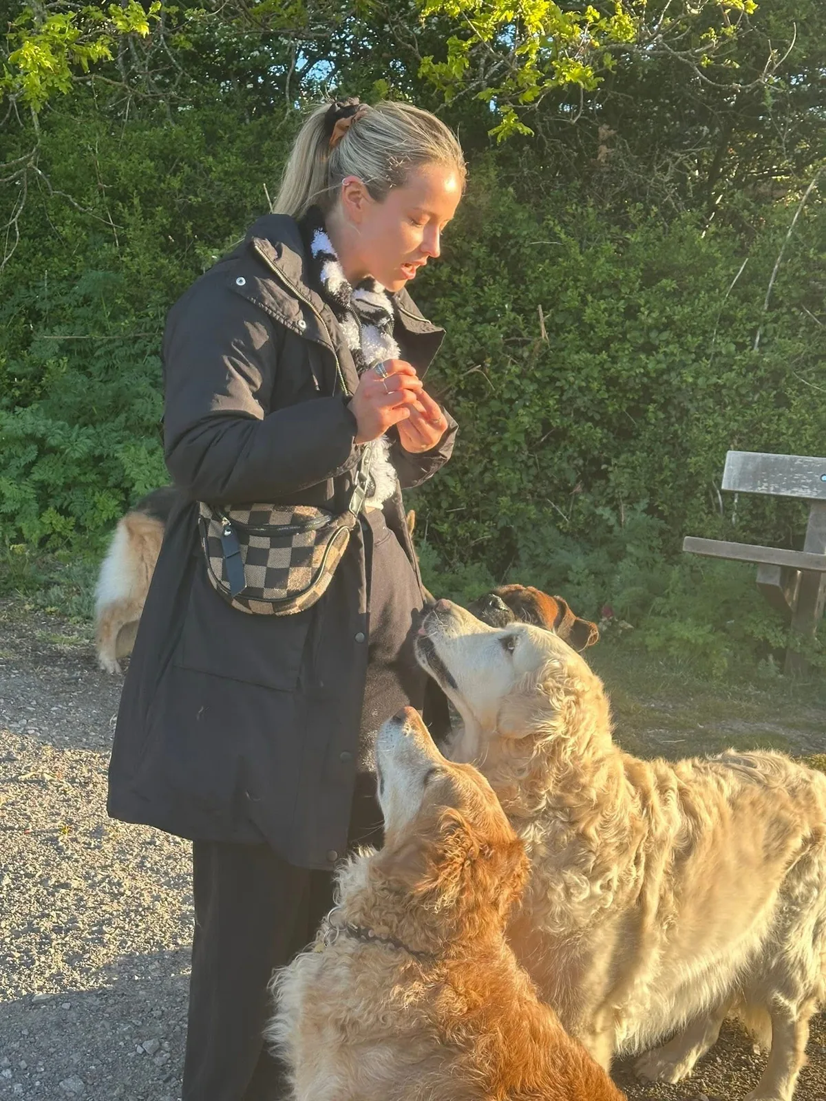 Happy hound cared for by Ella’s Hound Club